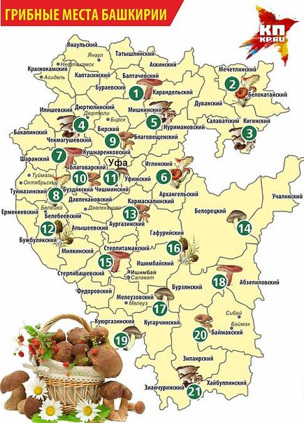 Harta locurilor de ciuperci din Bashkiria