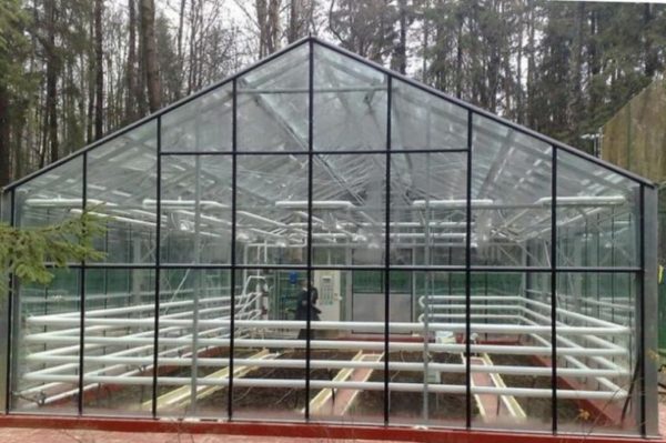 Glass växthus