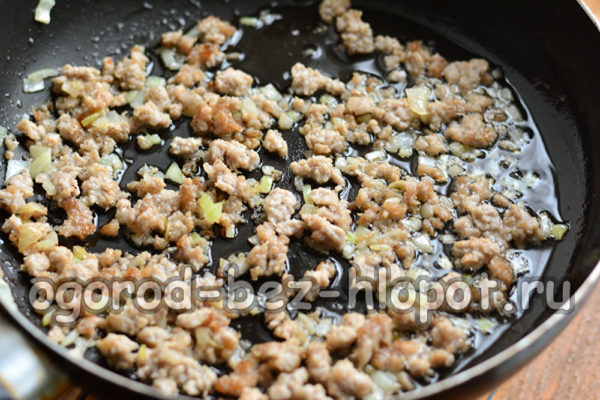 mince with onion fry
