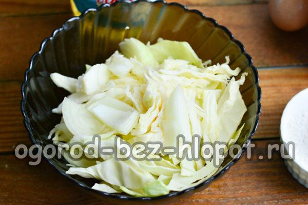 chopped onion and cabbage