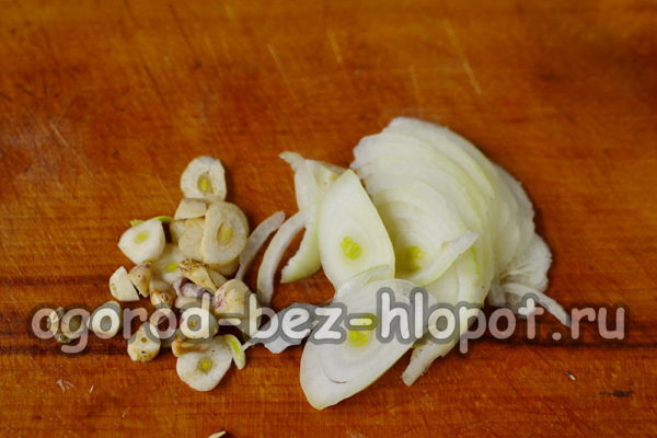 chopped onion and garlic