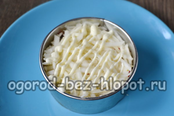 a layer of grated apple
