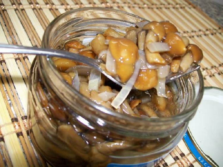 Salted honey mushrooms