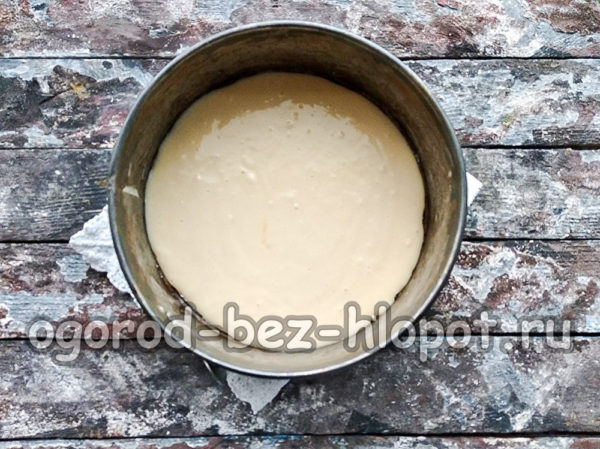 pour half the dough into the mold