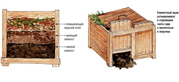 kompost box