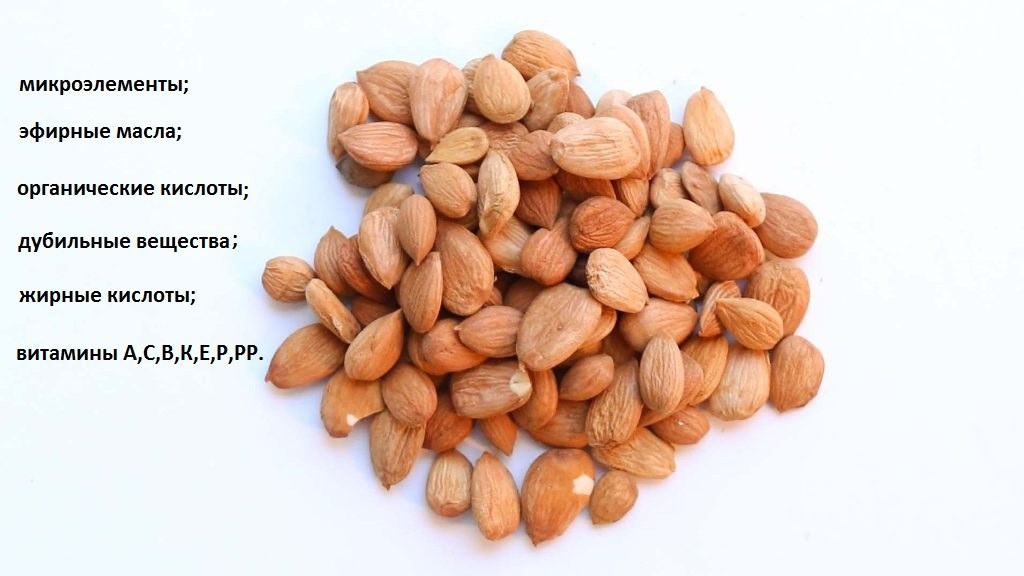 The composition of apricot kernels
