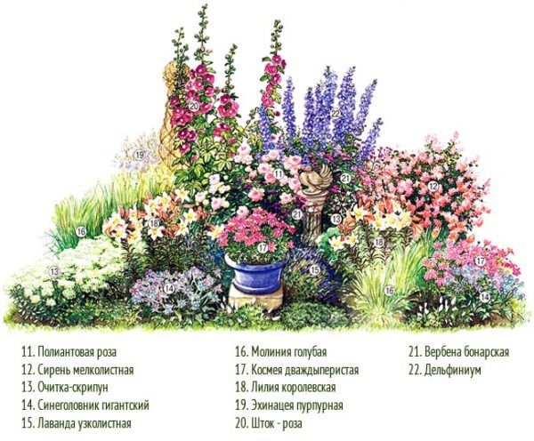 esquema de jardín de flores