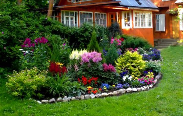flower beds in the country with your own hands