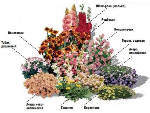 schema de grădină de flori