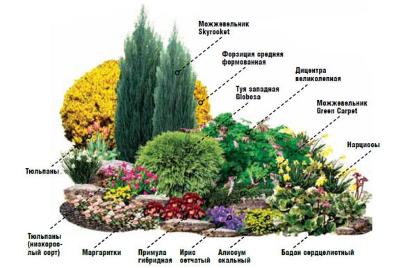 schéma květinové zahrady