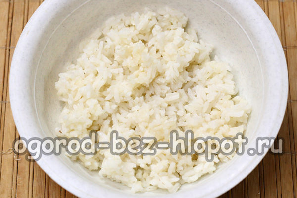 kook rijst en koel