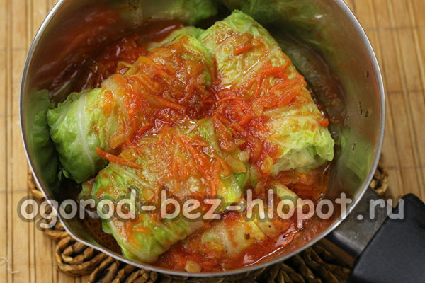 pour tomato stuffed cabbage