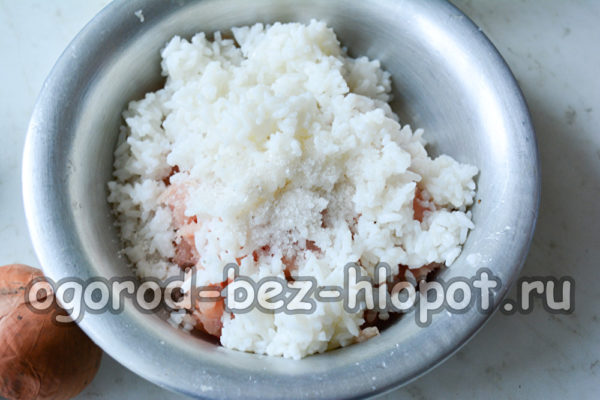 faire bouillir le riz, ajouter à la viande hachée