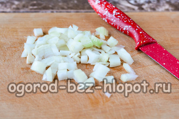 peel and chop the onion
