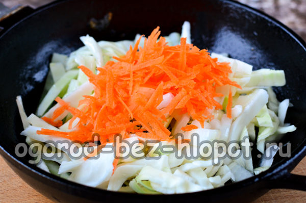freír repollo, cebolla y zanahoria