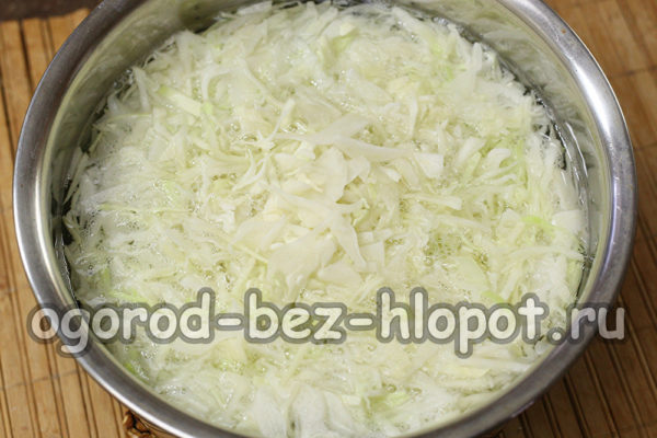 boil cabbage