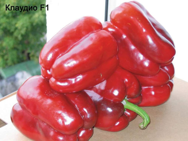 verticaal verdorde paprika's
