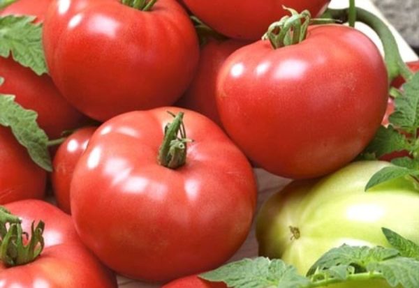 Variationer av tomatjättar för Centrala Ryssland