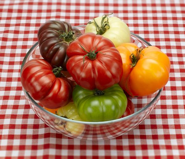 Variedades de gigantes de tomate para Rusia Central