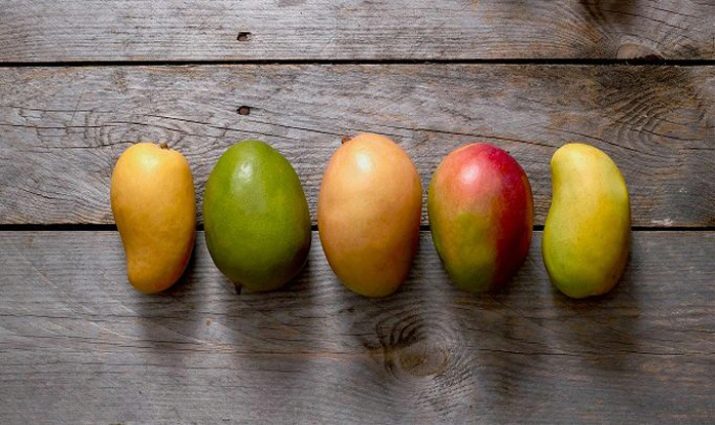 Mango ripening stages