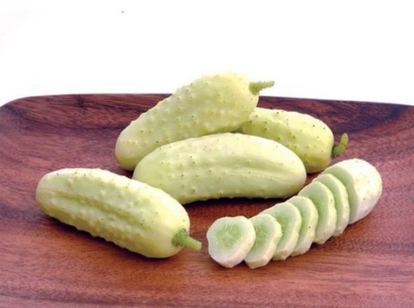 white cucumber