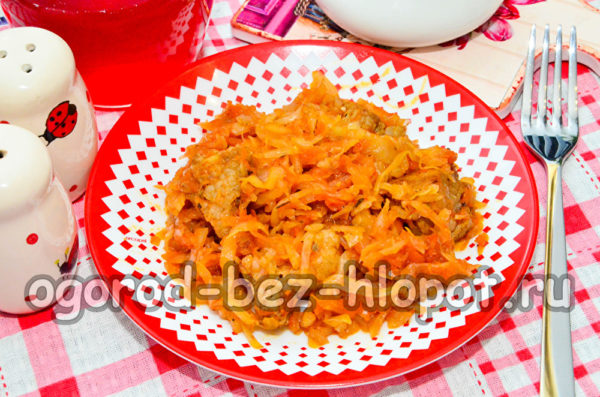stewed cabbage with pork ready