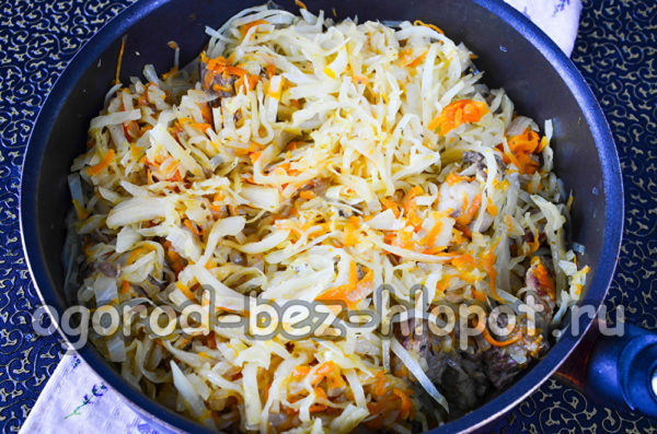 stew cabbage with meat under the lid