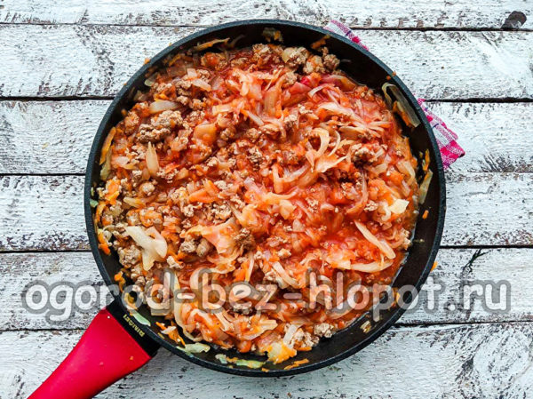 stewed cabbage with minced meat is ready