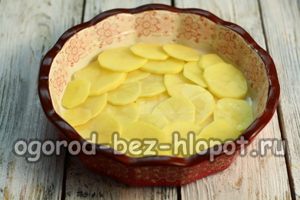 שים שכבה של תפוחי אדמה בתבנית