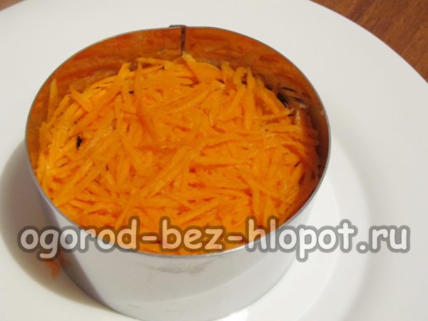 carrot layer