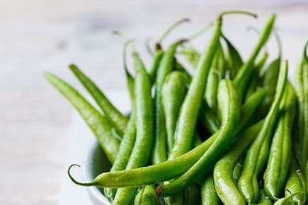 String Beans: How to Grow