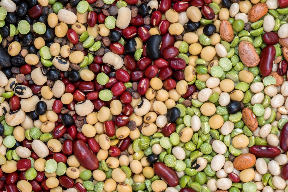 Types and varieties of beans