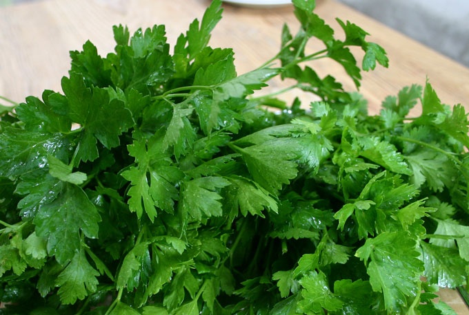 parsley for the winter