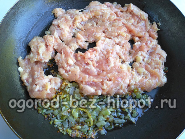 fry the onion with minced meat