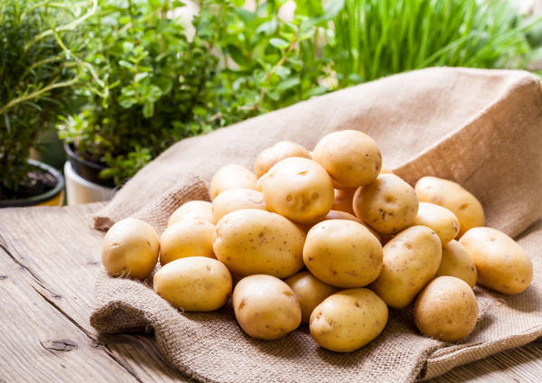 Добър реколта от картофи