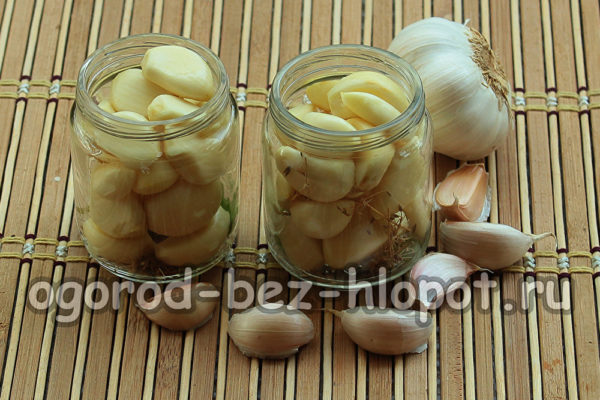 isi balang dengan bawang putih