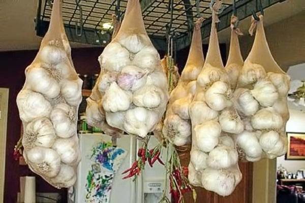garlic storage