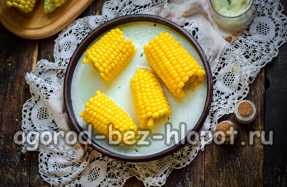 boiled corn with milk