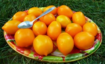 Tomatmirakel av världens karakteristiska och beskrivning av sorten