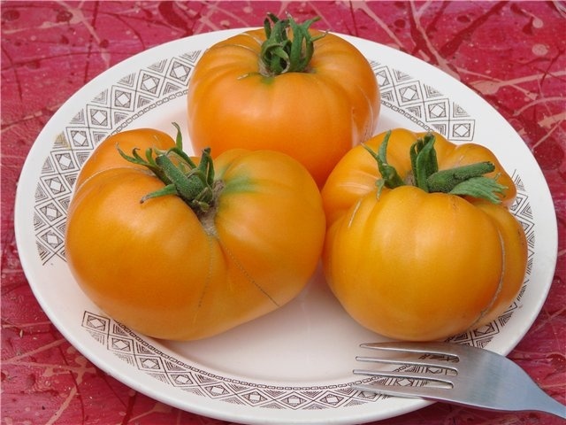 rajče zlaté kopule odrůda popis fotografie recenze