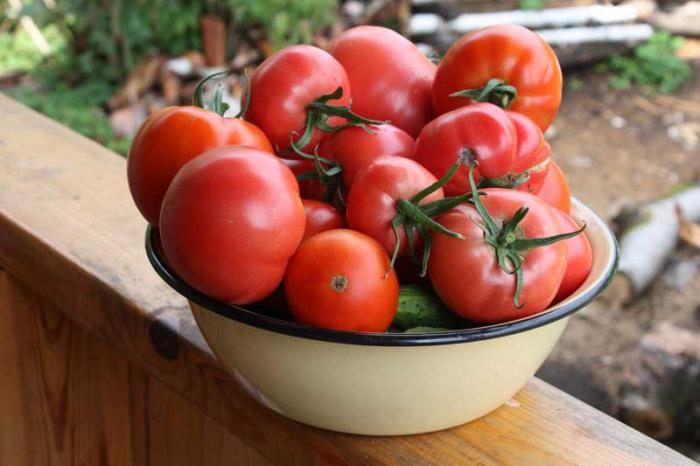Характеристика и описание на доматите