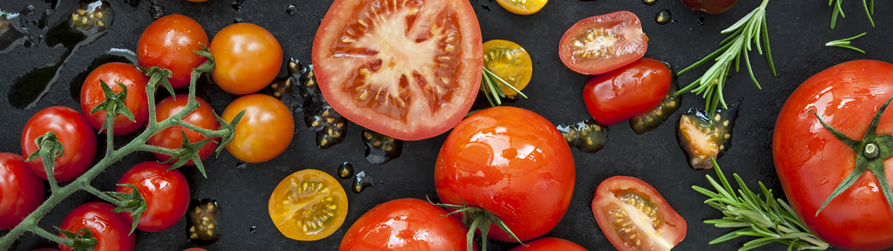 Webbplatslogotyp Allt om tomater. Odling av tomater. Sorter och plantor.