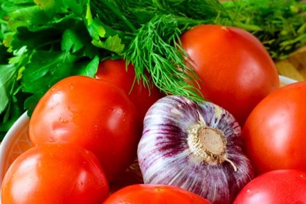 съставки за леко осолени домати