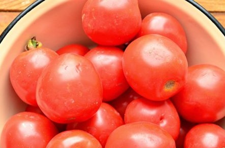 העגבניות שלי