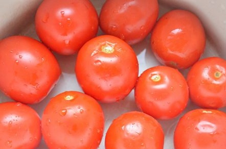 עגבניות שטופות