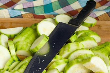 Zucchini Slices