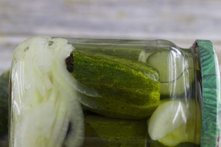 pickled cucumbers for the winter