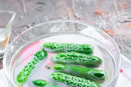 cucumbers in water