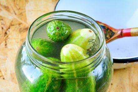 pickle pickles pickle