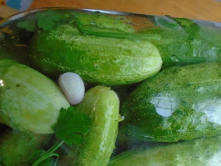 fill with cucumbers